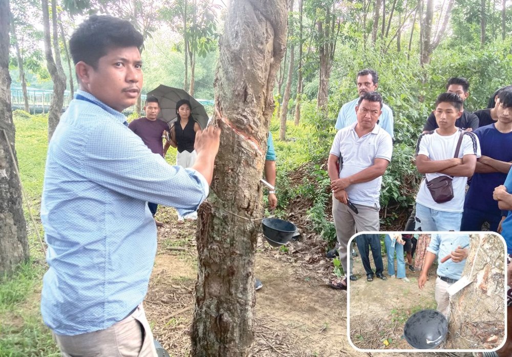 A trainer demonstrating latex tapping from a rubber tree at the Toka MPCS training facility in Ikishe village, Chümoukedima, on June 8. (Morung Photo)